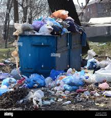 Best Junk Removal for Events  in Beacon Square, FL